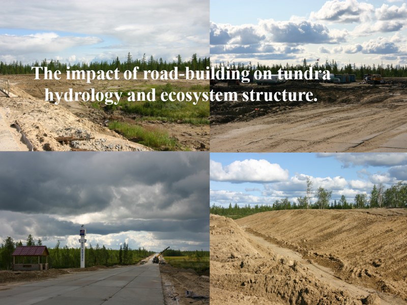 The impact of road-building on tundra hydrology and ecosystem structure.